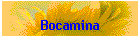 Bocamina