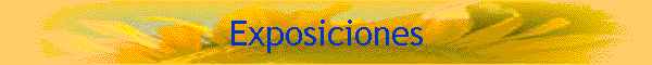 Exposiciones