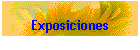 Exposiciones