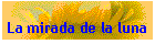 La mirada de la luna