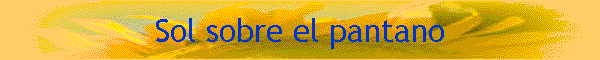 Sol sobre el pantano
