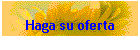 Haga su oferta