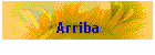 Arriba